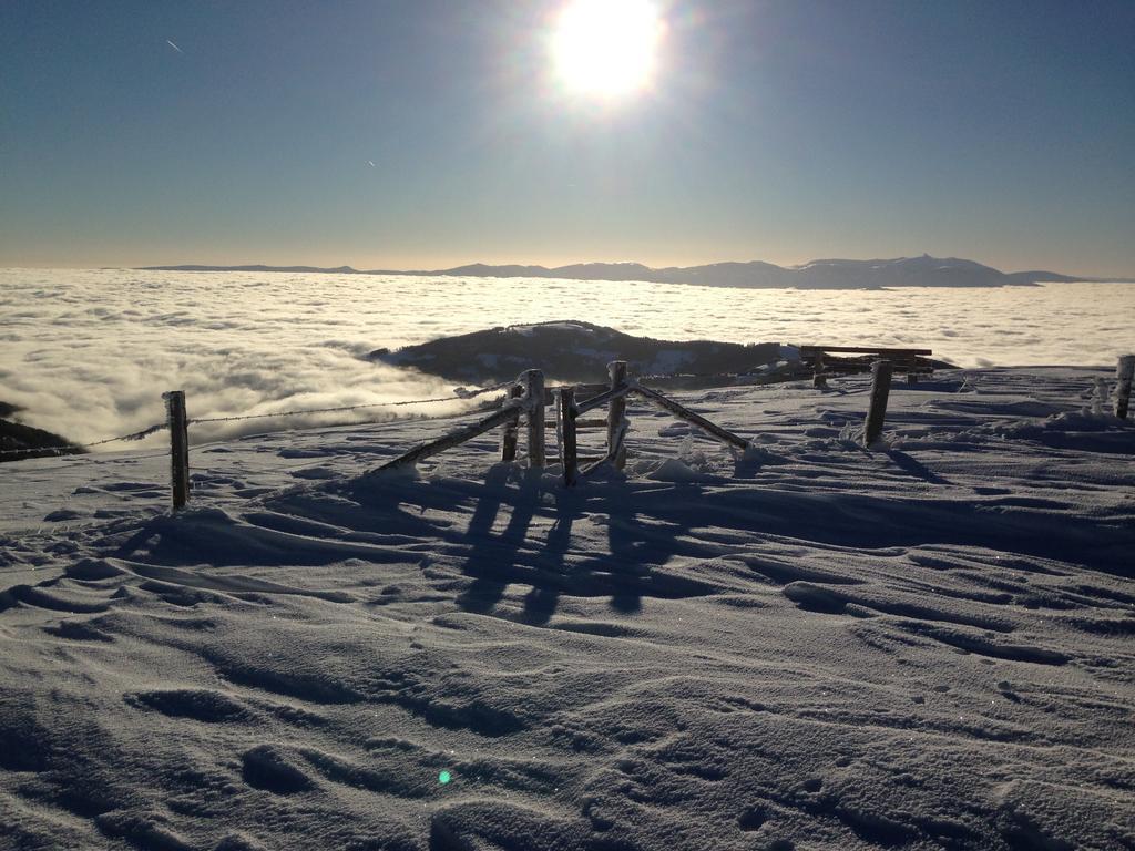 Klippitztorl Moselebaueralmヴィラ 部屋 写真